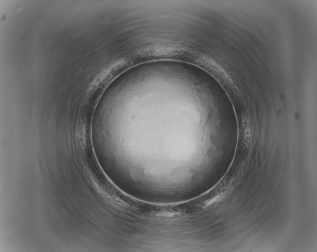 X0000078830542200611201250