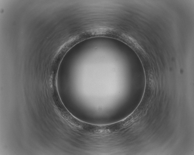 X0000078830543200611201250