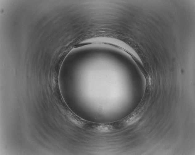 X0000078830566200611201251