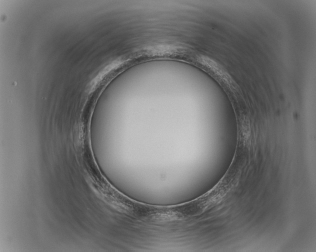 X0000078830583200611201250