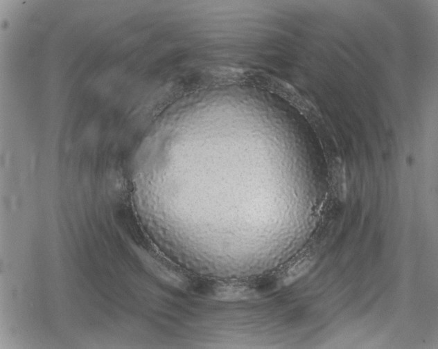 X0000078830614200611201250