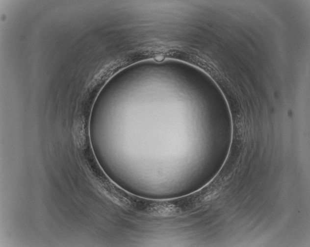 X0000078830642200611201249