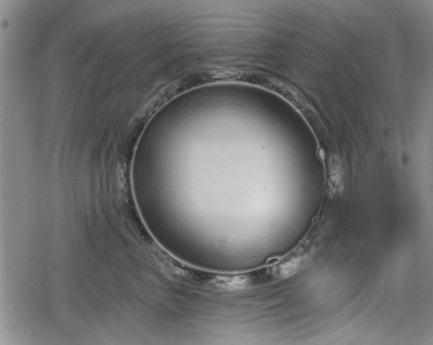 X0000078830667200611201249