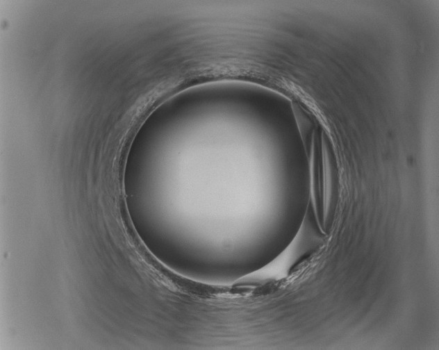 X0000078830673200611201249