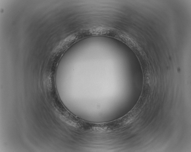 X0000078830690200611201248