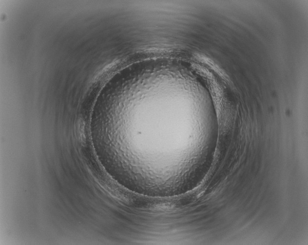 X0000078830692200611201248