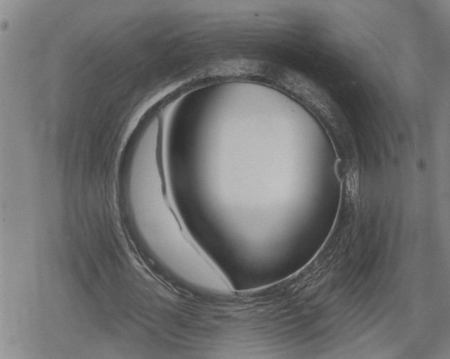 X0000078830724200611201247