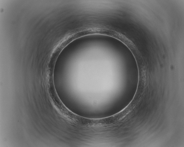 X0000078830730200611201247