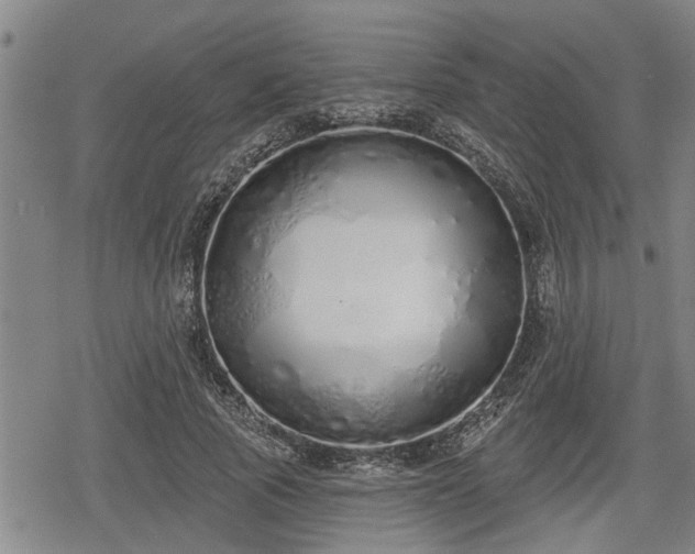 X0000078830737200611201247