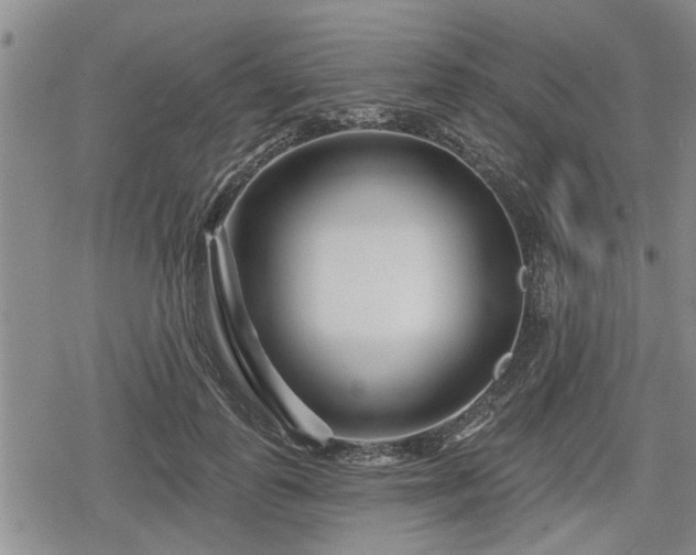 X0000078830747200611201247