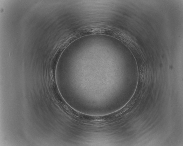 X0000078830748200611201247