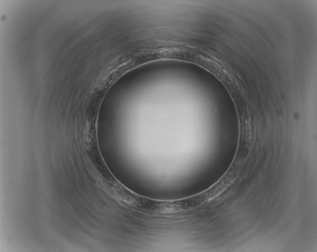 X0000078830750200611201247