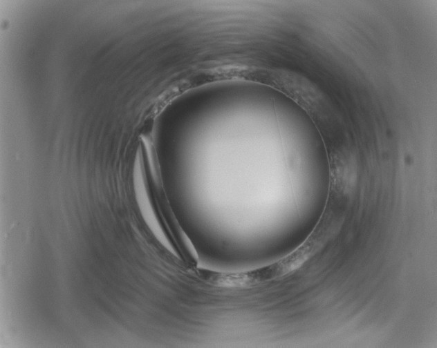 X0000078830767200611201248