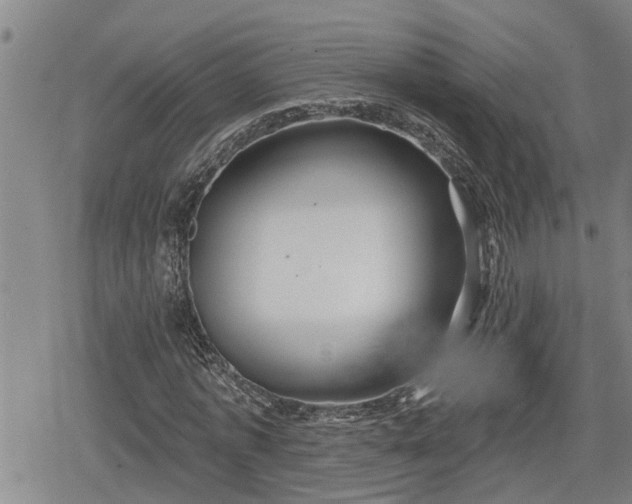 X0000078830773200611201247