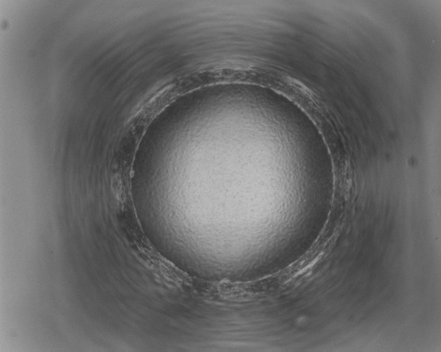 X0000078830774200611201247