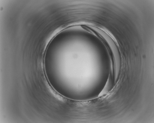 X0000078830813200611201246
