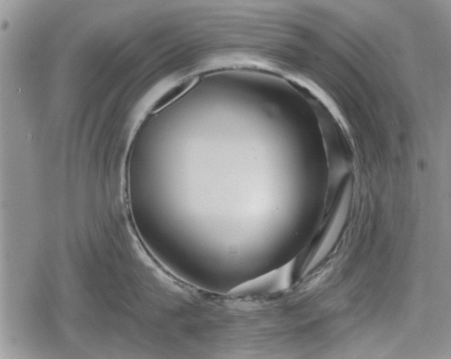 X0000078830815200611201246
