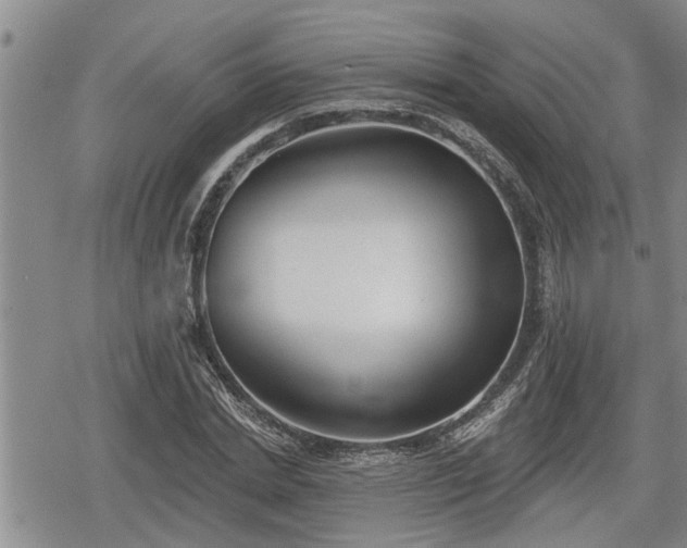 X0000078830830200611201246