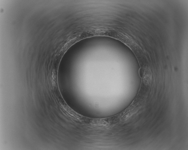 X0000078830866200611201245
