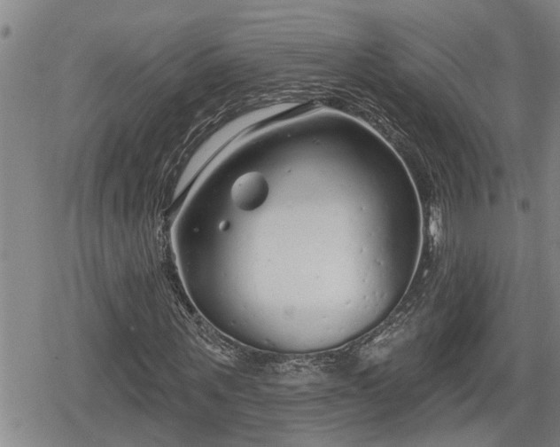 X0000078830867200611201245