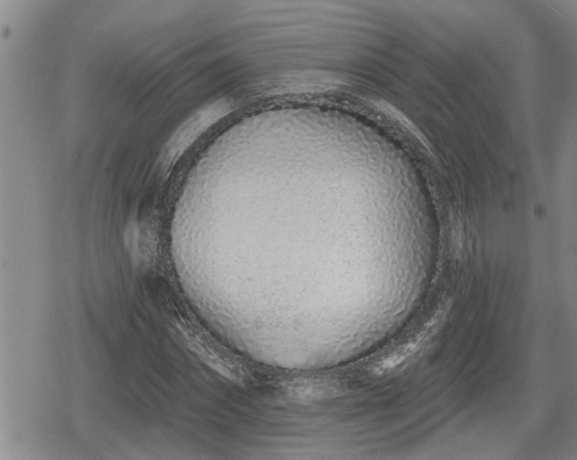 X0000078830874200611201245