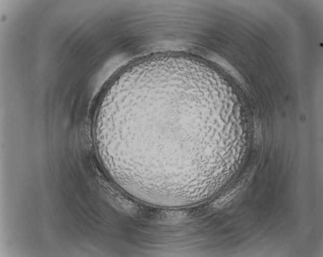 X0000078830878200611201245