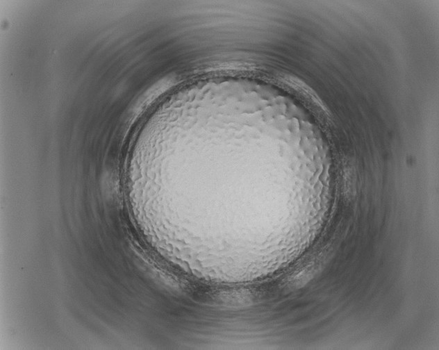 X0000078830882200611201245