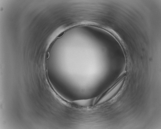 X0000078830910200611201245