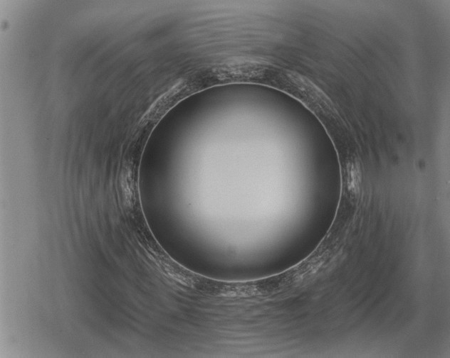 X0000078830915200611201244