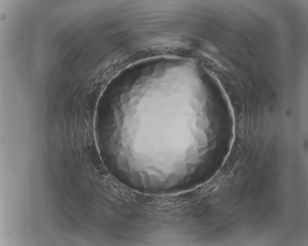 X0000078830917200611201244