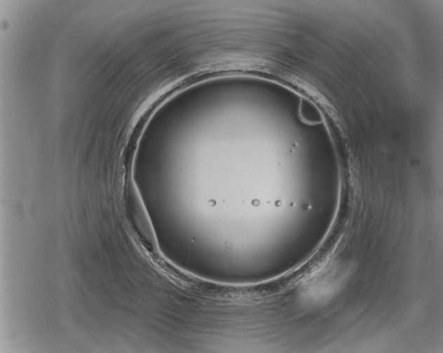 X0000078830933200611201244