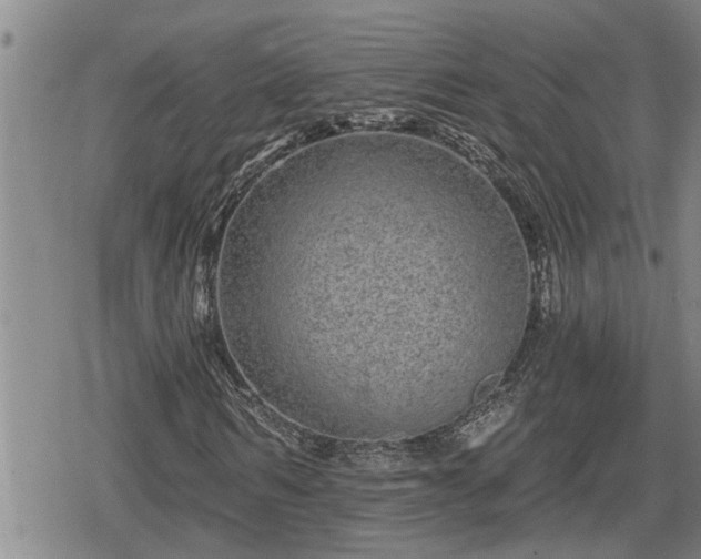 X0000078830962200611201244