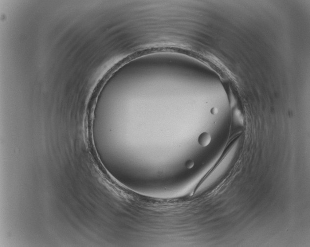 X0000078831076200611201242