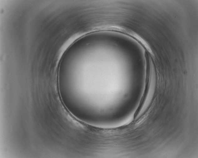 X0000078831102200611201241