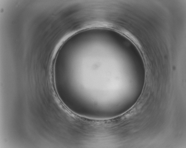 X0000078831104200611201241