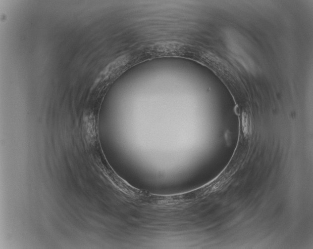 X0000078831107200611201241