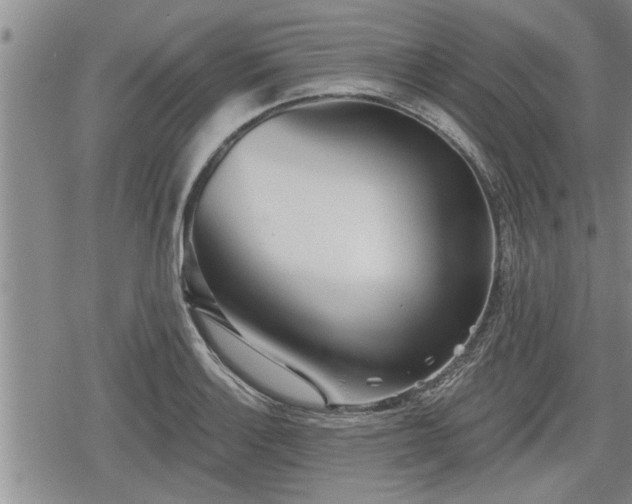 X0000078831132200611201241
