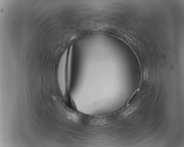 X0000078831156200611201241