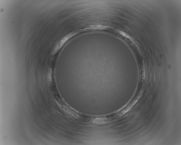 X0000078831161200611201241