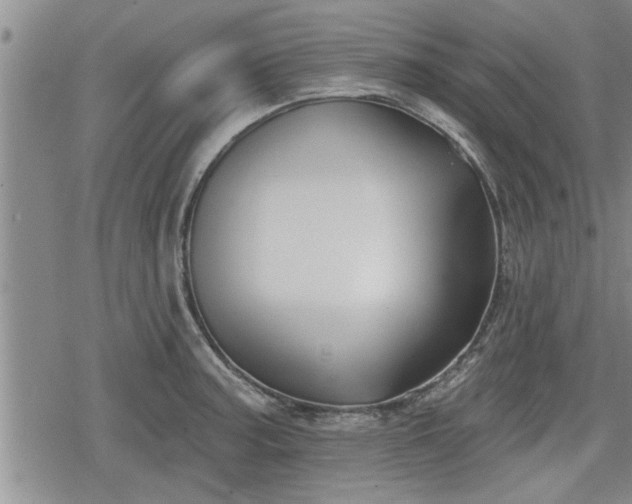 X0000078831187200611201240