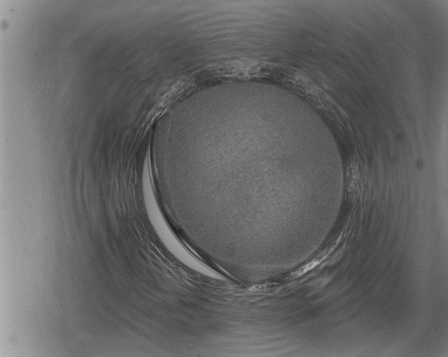 X0000078831202200611201239