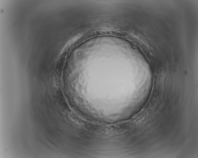 X0000078831207200611201239