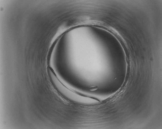 X0000078831230200611201240