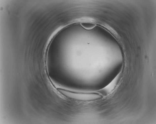 X0000078831248200611201240