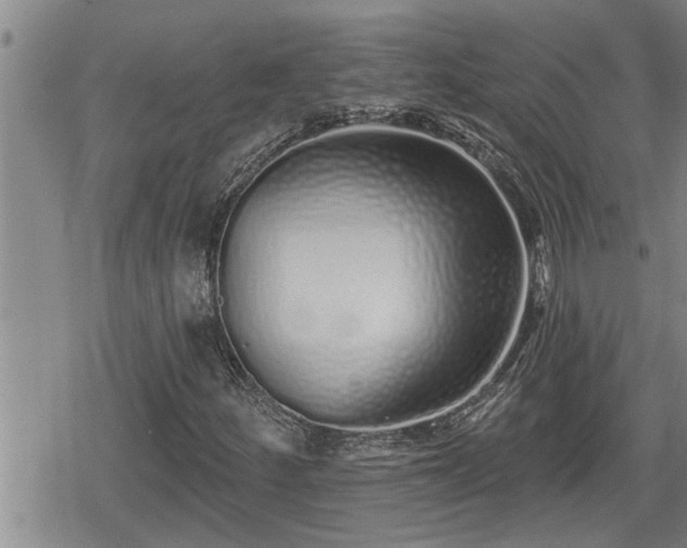 X0000078831252200611201239