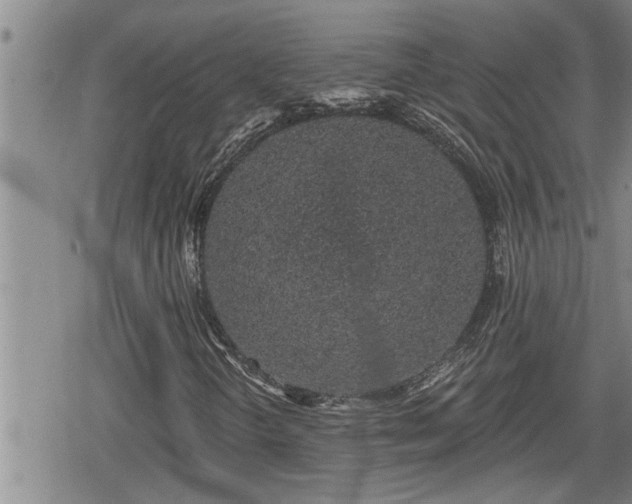 X0000078831298200611201238