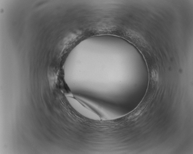 X0000078831300200611201238