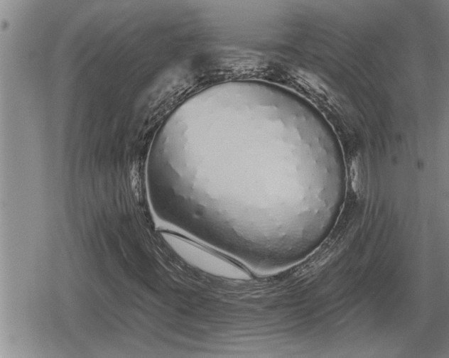 X0000078831395200611201236