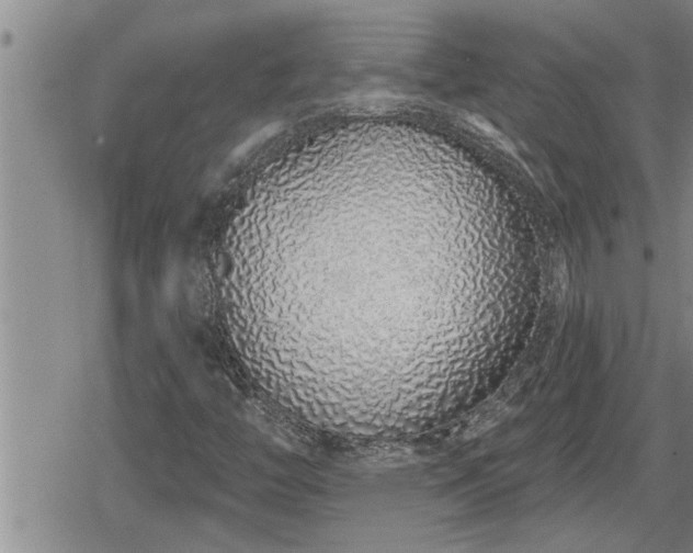X0000078831446200611201236