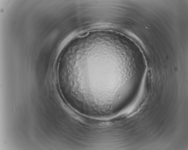 X0000078831467200611201235